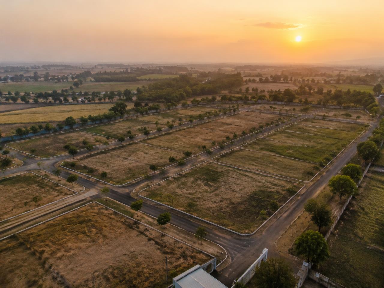Land & Plots